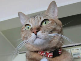 IMG04185.jpg