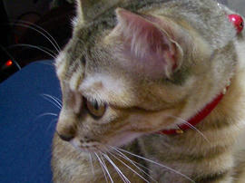 IMGP9968.jpg