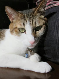IMG04186.jpg