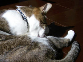 IMGP12943.jpg