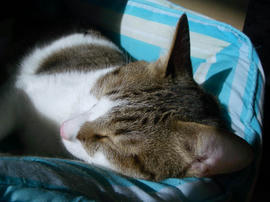 IMGP12948.jpg