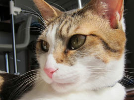 IMG00879.jpg