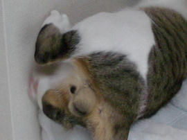 IMGP10024.jpg