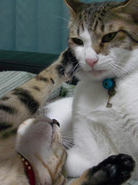 IMGP10054.jpg