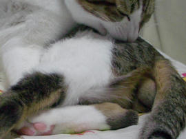 IMGP10073.jpg