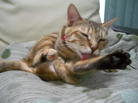IMGP10078.jpg