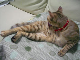 IMGP10086.jpg