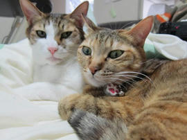 IMG04199.jpg