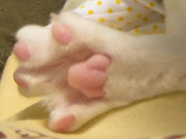 IMG00926.jpg