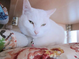 IMG04202.jpg