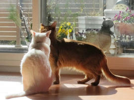 IMG04209.jpg