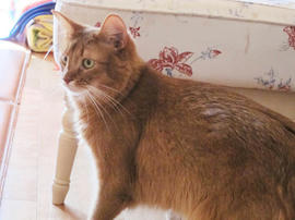 IMG04208.jpg
