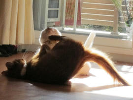 IMG04212.jpg