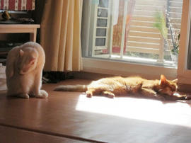 IMG04214.jpg