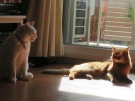 IMG04215.jpg