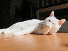 IMG04218.jpg