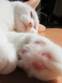 IMG04220.jpg