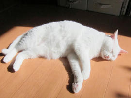 IMG04223.jpg