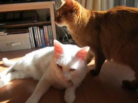 IMG04232.jpg