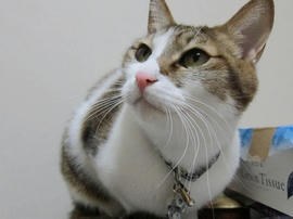 IMG04243.jpg