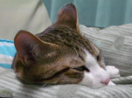 IMGP10150.jpg