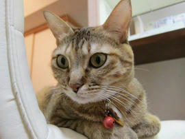 IMG00947.jpg
