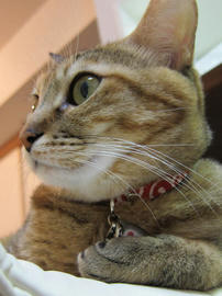 IMG00949.jpg