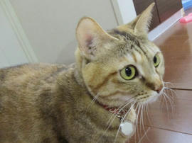 IMG04258.jpg