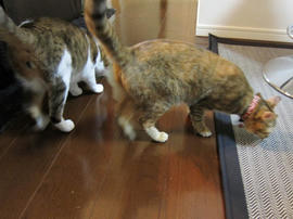 IMG00962.jpg