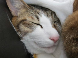 IMG04272.jpg