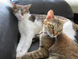 IMG04273.jpg
