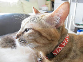 IMG04278.jpg