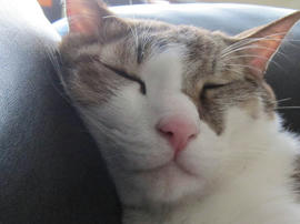 IMG04276.jpg