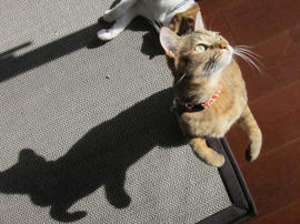 IMG04283.jpg