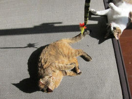 IMG04284.jpg