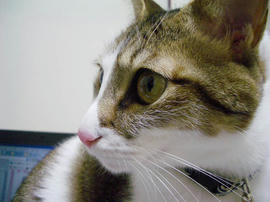 IMGP13100.jpg