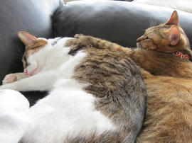 IMG04292.jpg