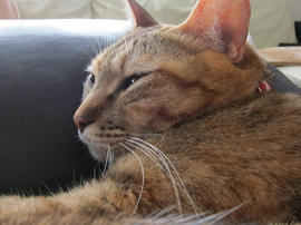 IMG04293.jpg