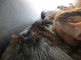 IMG04300.jpg