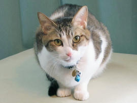 IMG00989.jpg