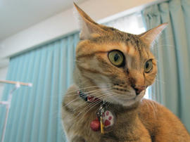 IMG00990.jpg