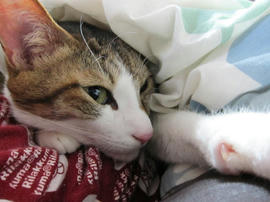 IMG04301.jpg