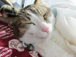 IMG04305.jpg