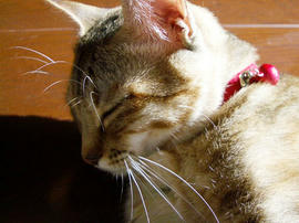 IMGP10256.jpg