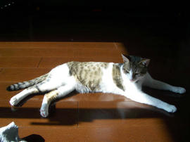 IMGP10271.jpg