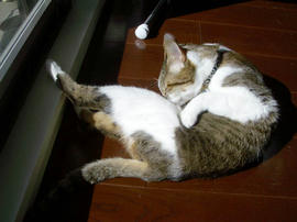 IMGP13124.jpg