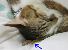 IMG04307.jpg