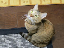 IMG04313.jpg