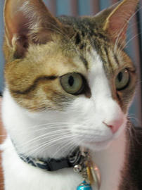 IMG01021.jpg