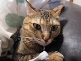 IMG01034.jpg